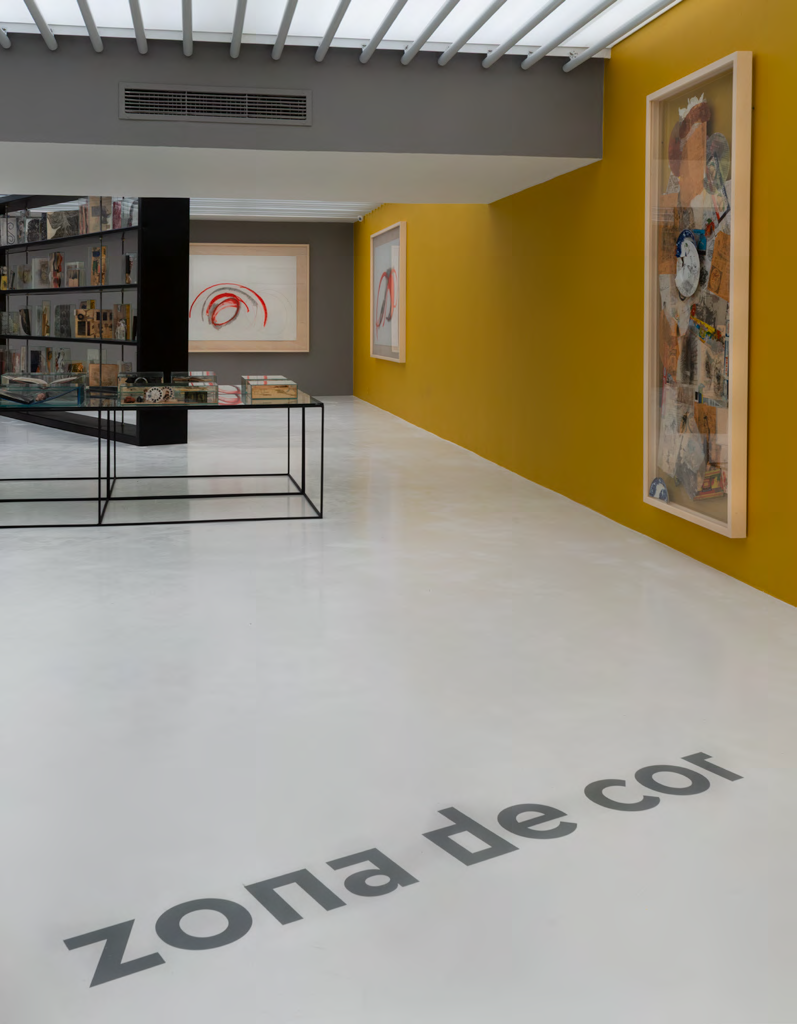 zona-de-cor-1.png