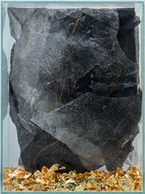 zona-negra-14.png